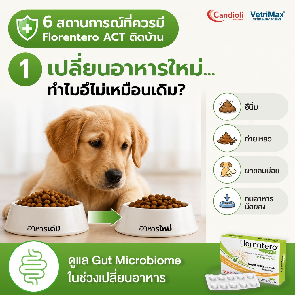 Florentero ACT 6 สถานการณ์_P 1.jpg